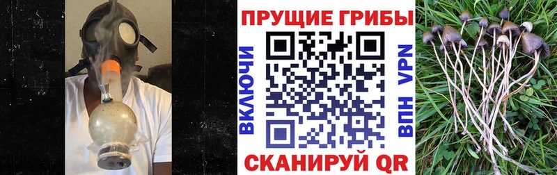 Псилоцибиновые грибы ЛСД  даркнет Telegram  Вышний Волочёк 