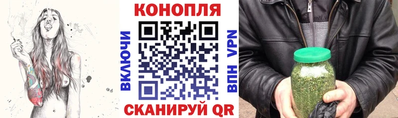 Каннабис OG Kush  что такое   Вышний Волочёк 